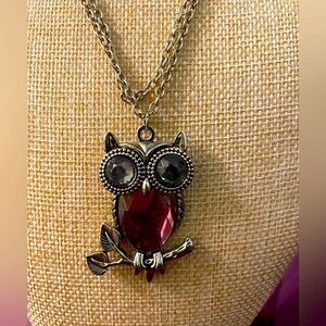 💫$5!add on. Striking owl pendant with silver and gemstones on necklace.